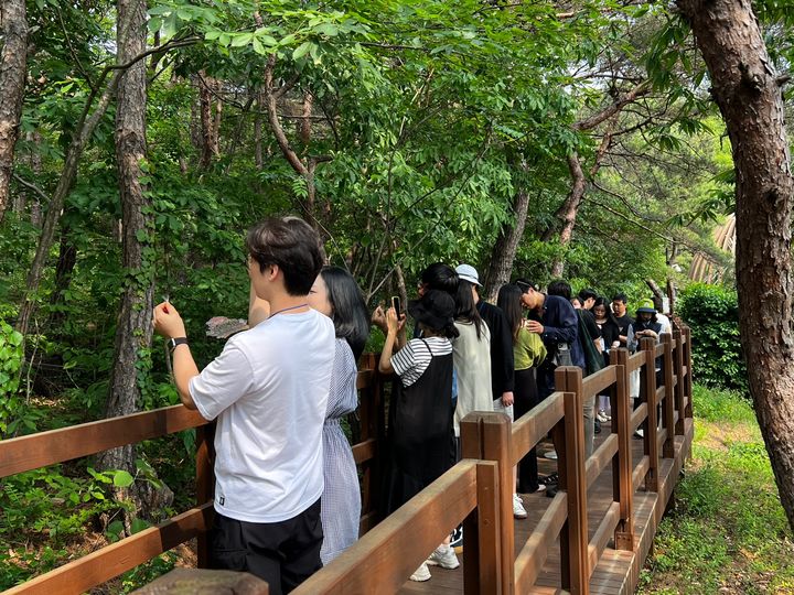 [대전=뉴시스] 국립대전숲체원에서 임신부부가 숲태교 프로그램에 참여하고 있다. (사진=한국산림복지진흥원 국립대전숲체원 제공) 2025.06.02. photo@newsis.com&nbsp; *재판매 및 DB 금지