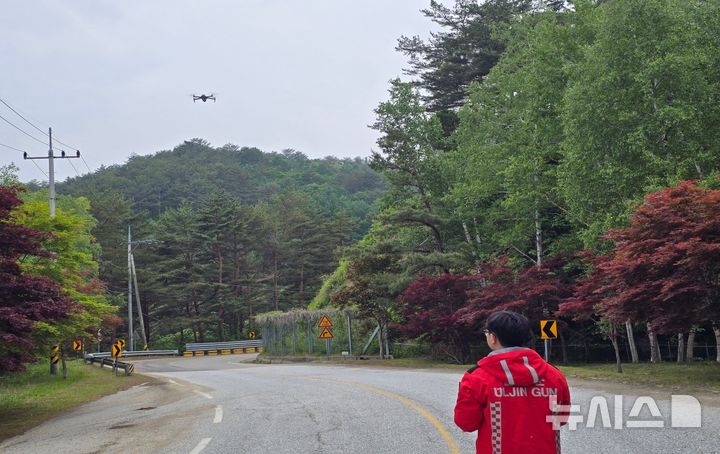 [울진=뉴시스] 안병철 기자 = 경북 울진군이 드론을 활용해 고사목 예찰 활동을 하고 있다.(사진=울진군 제공) 2025.06.02. photo@newsis.com