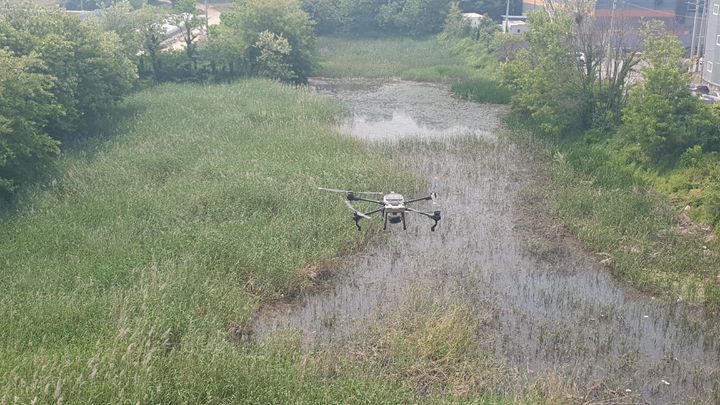 [인천=뉴시스] 강화군 방역기동반이 드론을 활용해 말라리아 확산 방지를 위한 방역 활동을 펼치고 있다. (사진=강화군 제공) 2025.06.02. photo@newsis.com *재판매 및 DB 금지