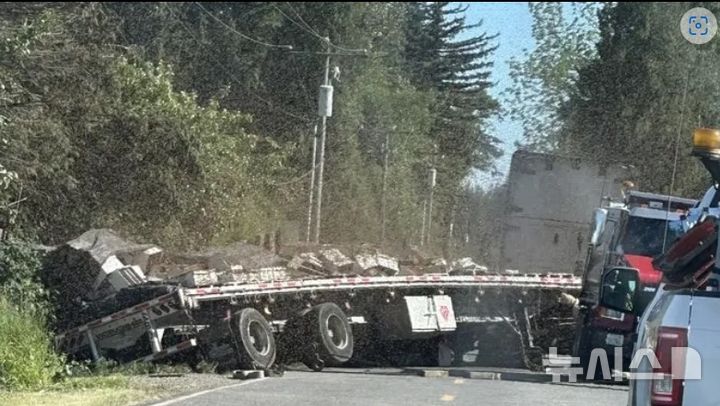 [뉴시스]꿀벌 2억5000만 마리가 실린 상업용 트럭이 전복되는 바람에 벌들이 한꺼번에 탈출하는 사고가 벌어졌다. (사진=뉴욕포스트) 