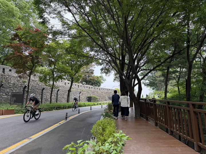 [서울=뉴시스] 차도(자전거)와 분리되어 한양도성을 바라보며 안전하게 걷는 나무길. 2025.06.03. (사진=서울시 제공) *재판매 및 DB 금지