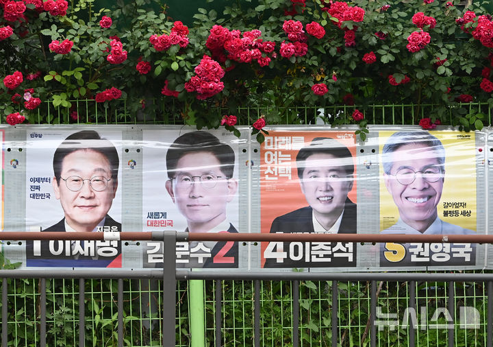 [안양=뉴시스] 김종택 기자 = 제21대 대통령선거를 하루 앞둔 2일 경기 안양시 만안구 한 거리에 장미꽃 밑으로 후보자들의 선거 벽보가 걸려 있다. 2025.06.02. jtk@newsis.com