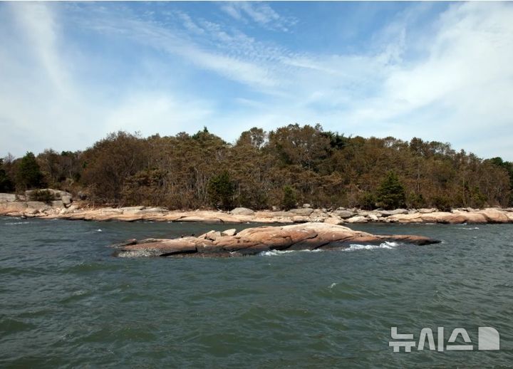 [뉴시스]미국 코네티컷주 롱아일랜드사운드 앞바다에 소형 비행기가 추락했으나 탑승자 2명이 큰 부상 없이 전원 생존했다고 미국 언론이 보도했다.(사진=뉴욕포스트)