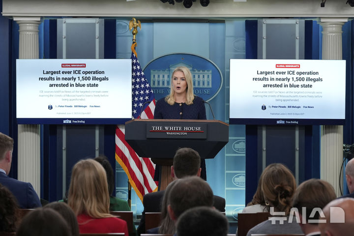 [워싱턴=AP/뉴시스] 캐롤라인 레빗 미국 백악관 대변인이 3일(현지 시간) 워싱턴 D.C. 백악관에서 브리핑을 하고 있다. 2025.06.04.