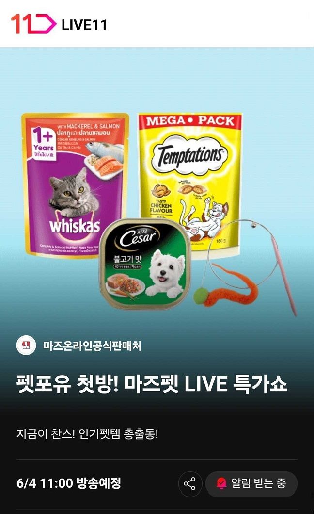 [서울=뉴시스] 11번가가 반려동물을 가족처럼 여기는 '펫팸족(펫+패밀리의 합성어)'을 위한 라이브 방송 코너 '펫포유(Pet For You)'를 새롭게 시작한다고 4일 밝혔다. (사진=십일번가 제공) *재판매 및 DB 금지