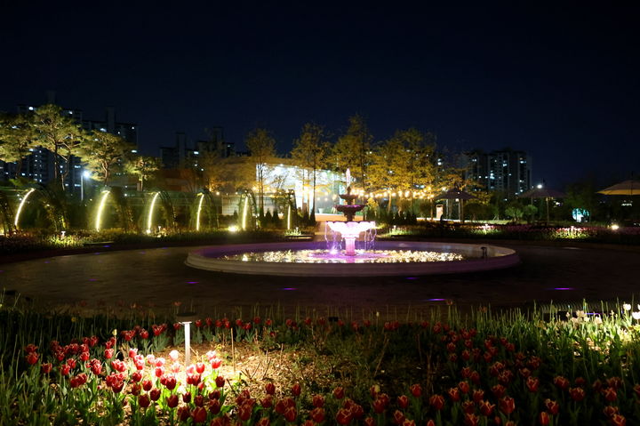 [수원=뉴시스] 일월수목원 야간 개장. (사진=수원시 제공) 2025.06.04. photo@newsis.com *재판매 및 DB 금지