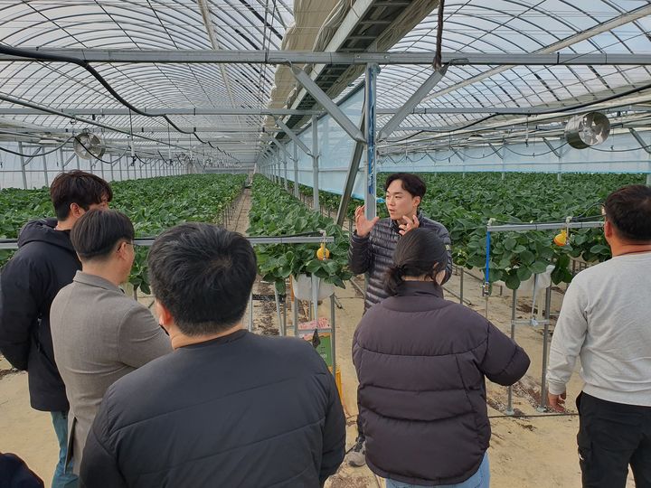 [거창=뉴시스] 거창군 청년 귀농인 영농정착 프로그램 딸기심화과정 (사진=거창군 제공) 2025. 06. 04. photo@newsis.com *재판매 및 DB 금지