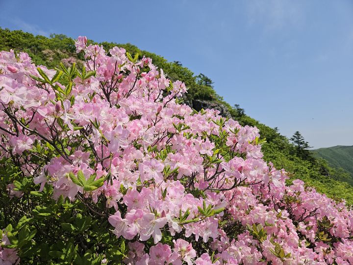 울산, 대체로 맑음…최저 19도·최고 29도