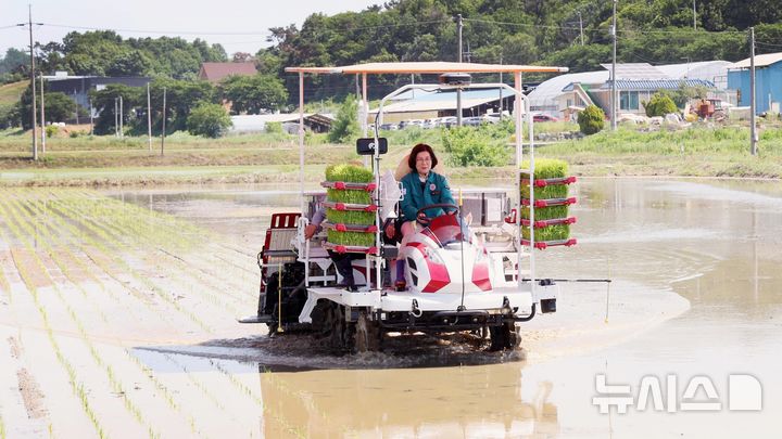 [안성=뉴시스] 김보라 시장이 지역특화육성 품종인 수찬미 모내기를 시연하고 있는 모습 (사진=안성시 제공) 2025.06.04.photo@newsis.com 