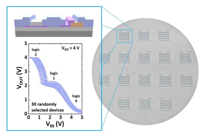 (개발된 삼진 로직 구조도) 웨이퍼 스케일로 제작된 텔루륨(TeO) / 인듐갈륨주석(InGaSnO) 산화물 기반 삼진 인버터 소자. (사진=한양대 제공) *재판매 및 DB 금지