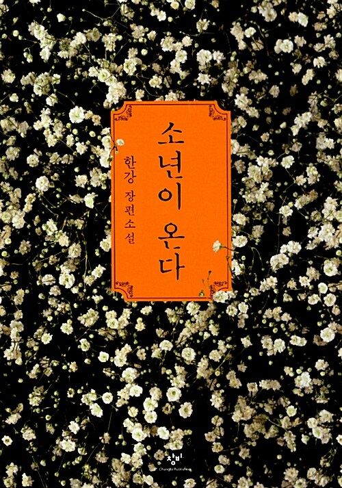 [서울=뉴시스] 소년이 온다. (사진=알라딘 제공) 2025.06.04. photo@newsis.com *재판매 및 DB 금지