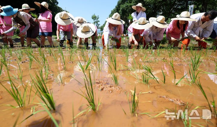 귀농 5년차 연소득 3300만원, 전년보다 300만원 줄어…70% "생활 만족"