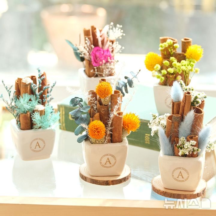 [서울=뉴시스] 아스파시아의 천연모기기피제 화분. (사진= 오늘의집 제공) 