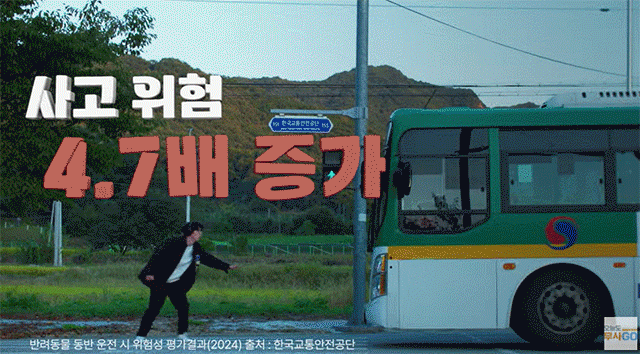 [서울=뉴시스] 한국교통안전공단의 유튜브 채널에는 반려동물과 함께 대중교통을 이용할 때 지켜야 할 에티켓을 소개한 콘텐츠가 공개됐다. 2025.06.08. (영상 출처=교통안전공단 유튜브) *재판매 및 DB 금지