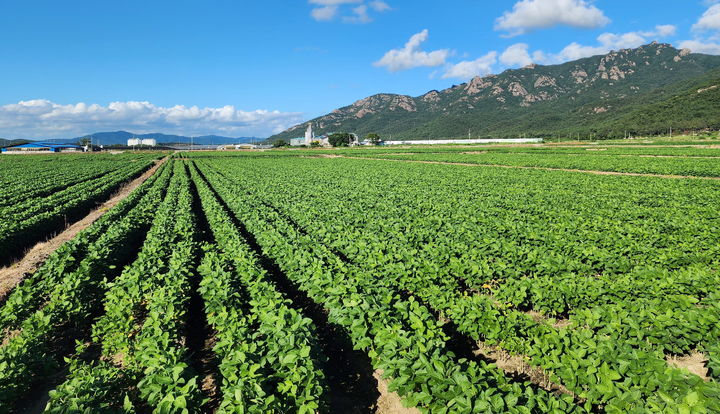  *재판매 및 DB 금지