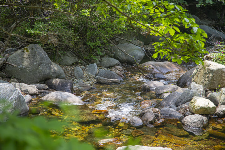 양평 사나사(사진=경기관광공사 제공) *재판매 및 DB 금지