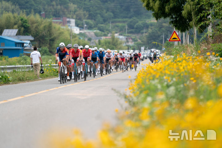 [사천=뉴시스]경남도 주최 '투르 드 경남 2025'에 참가한 선수들이 대회 3일차인 6일 사천시 구간을 질주하고 있다.(사진=경남도 제공) 2025.06.06. photo@newsis.com
