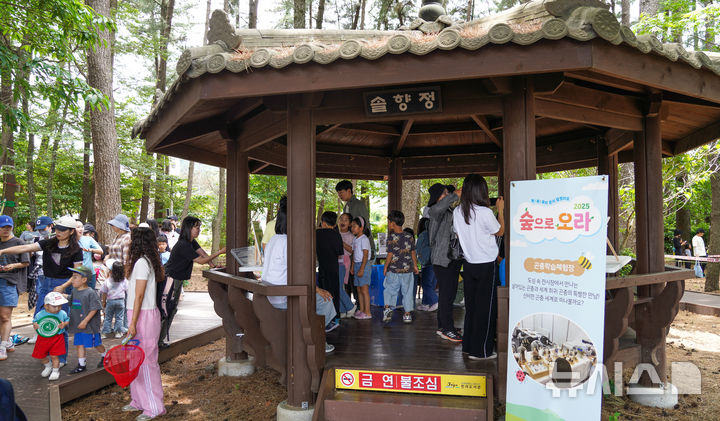 [제주=뉴시스] 우장호 기자 = 6일 제주시 한라도서관 일대에서 열린 생태체험 축제 '2025 숲으로 오라'에서 부모님과 행사장을 찾은 어린이들이 숲액티비티를 체험하고 있다.8일까지 사흘간 열리는 '숲으로 오라' 축제는 제주관광공사가 2019년부터 매년 어린이를 비롯해 동반 가족을 대상으로 자연의 가치와 환경의 중요성을 알리기 위해 여는 참여행 생태체험 행사다. 2025.06.06. woo1223@newsis.com