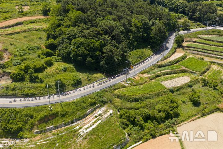 [남해=뉴시스]경남도 주최 국제도로사이틀대회 '투르 드 경남 2025'에 참가한 선수들이 7일 4일차 남해 구간 123㎞를 질주하고 있다.(사진=경남도 제공) 2025.06.07. photo@newsis.com