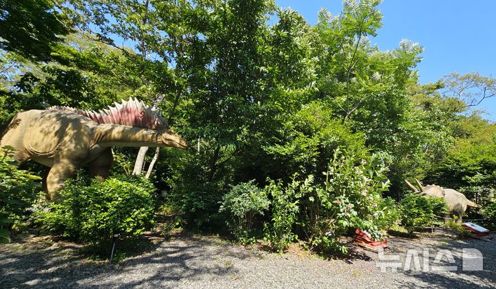 [제주=뉴시스] 임재영 기자 = 포레스트 사파리는 자료상으로 공룡 테마파크인지, 정원인지 헷갈렸는데 지난 3일 직접 방문하고 나서야 동물모형이 실감나게 포진한 숲 정원임을 알 수 있었다. 2025.06.08. ijy788@newsis.com