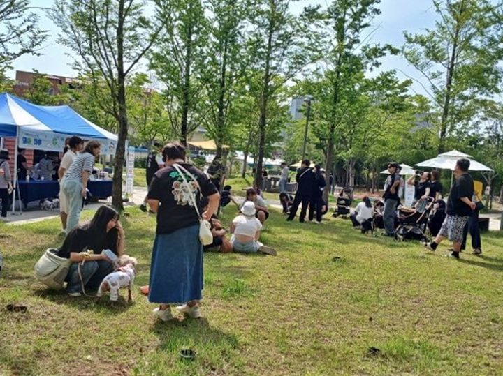 '멍멍이랑 군산에서의 하루, 멍군의 하루' 프로그램 참여자들 (사진=군산시 제공) *재판매 및 DB 금지