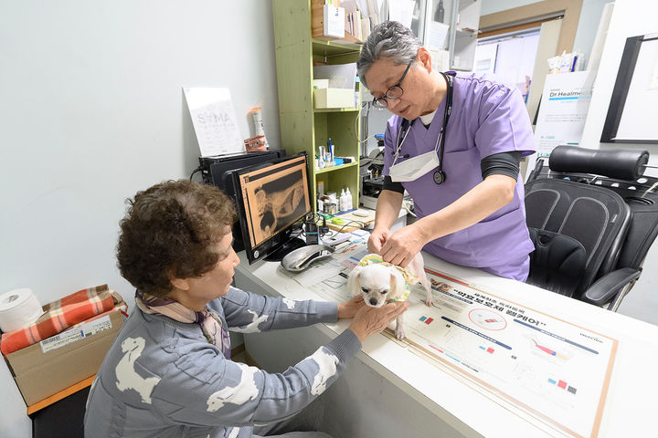 [서울=뉴시스] 양천구 ‘우리동네 동물병원’에서 진료를 받고 있는 반려견과 구민가족. 2025.06.08. (사진=양천구 제공) *재판매 및 DB 금지