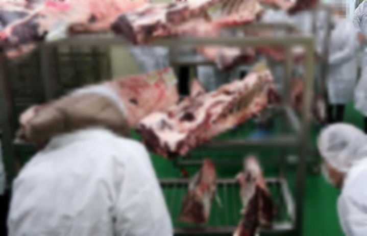 [춘천=뉴시스] 9일 강원특별자치도는 도내 식육포장처리업소, 축산물 판매업소 등 총 110개 업소를 대상으로 축산물이력제 이행 실태에 대한 합동점검을 오는 9일부터 20일까지 실시한다 고 밝혔다. 사진은 기사 내용과 관련없음. *재판매 및 DB 금지