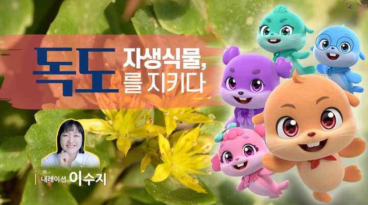 [안동=뉴시스] '독도 자생식물을 지키다' 포스터 (사진=경북문화재단 콘텐츠진흥원 제공) 2025.06.09. photo@newsis.com *재판매 및 DB 금지