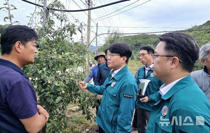 [밀양=뉴시스]경남도 이정군(가운데) 농정국장이 지난 5일 우박 피해가 극심한 밀양시 산내면 한 과수농장을 방문해 피해 상황을 점검하고 농장주와 지원 방안 등에 대해 얘기하고 있다.(사진=경남도 제공) 2025.06.09. photo@newsis.com