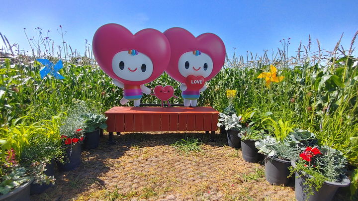 [거제=뉴시스] 신정철 기자= 거제시는 9일부터 오는 7월 11일까지 거제시농업기술센터 인근에 조성한 1306㎡ 규모의 ‘옥수수 미로정원’을 시민과 관광객에게 개방한다.(사진=거제시 제공).2025.06.09. *재판매 및 DB 금지