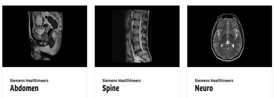 [서울=뉴시스] 지멘스 헬시니어스 한국법인은 국내 보건의료인 대상으로 고화질 임상 이미지를 제공하는 ‘다이콤(DICOM)’ 이미지 갤러리 사이트(링크)를 최근 선보였다고 9일 밝혔다. (사진=지멘스 헬시니어스 제공) 2025.06.09. photo@newsis.com&nbsp; *재판매 및 DB 금지