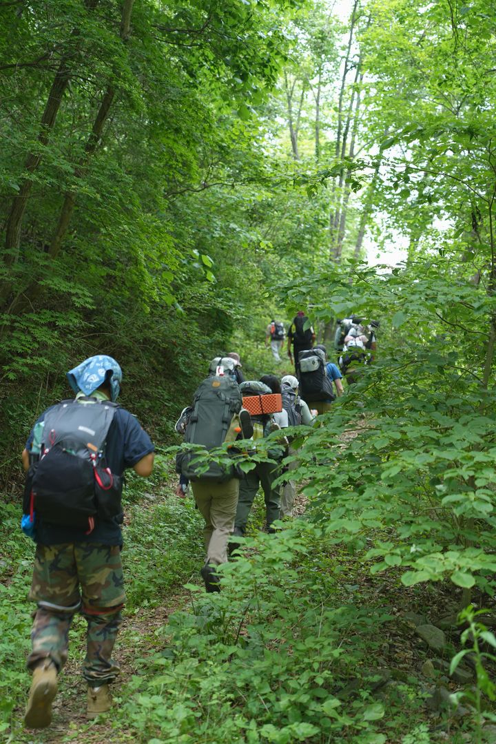 트레킹코스 체험을 하고 있다. *재판매 및 DB 금지