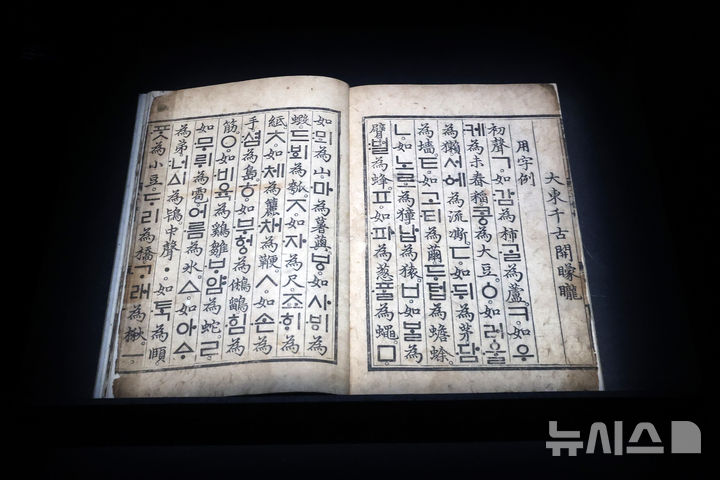 [서울=뉴시스] 박진희 기자 = 국립중앙박물관은 용산 개관 20주년을 맞아 특별전 '새 나라 새 미술: 조선 전기 미술 대전' 언론공개회를 9일 서울 용산구 국립중앙박물관 특별전시실에서 갖고 '훈민정음'을 선보이고 있다. 이번 전시는 조선이라는 새로운 나라의 시작과 함께 꽃핀 15~16세기 당시 미술을 대표하는 691건(도자, 서화, 불교미술 등) 작품의 정수를 한 자리에 모은 대규모 기획이다. 2025.06.09. pak7130@newsis.com