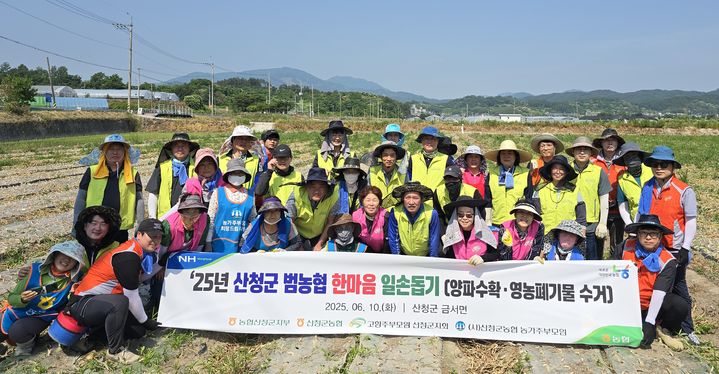 [산청=뉴시스] 산청군농협·농협 산청군지부 농주모,고주모산청군지회 양파 수확 일손돕기  (사진=산청군농협 제공) 2025. 06. 10. photo@newsis.com  *재판매 및 DB 금지