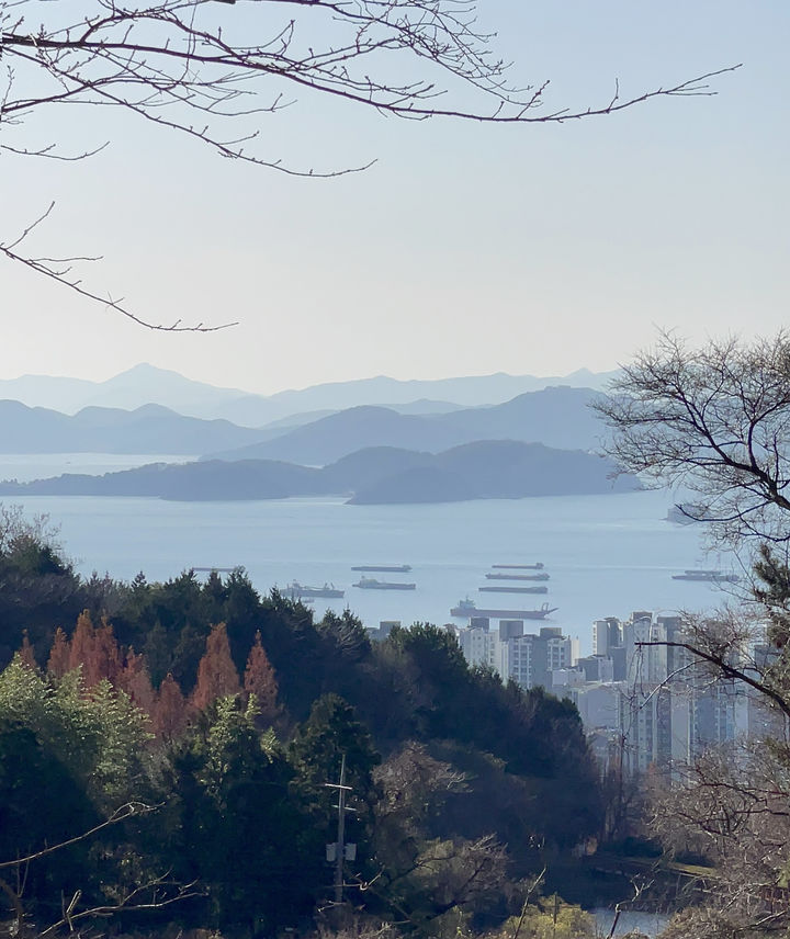 [창원=뉴시스] 강경국 기자 = 경남 창원시 진해구 장천동 일원에 추진 중인 진해만 자연휴양림에서 본 진해만 전경. (사진=창원시청 제공). 2025.06.10. photo@newsis.com *재판매 및 DB 금지