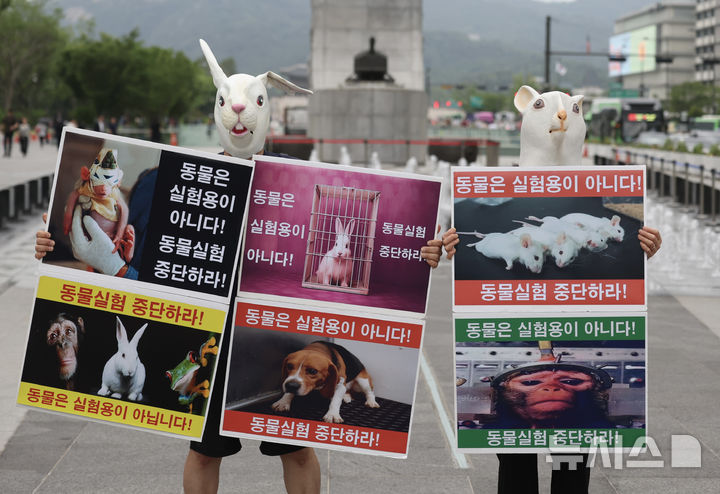 "동물실험은 이제 그만"...제약업계 미래 먹거리 된 '이것' - 뉴스 썸네일 이미지