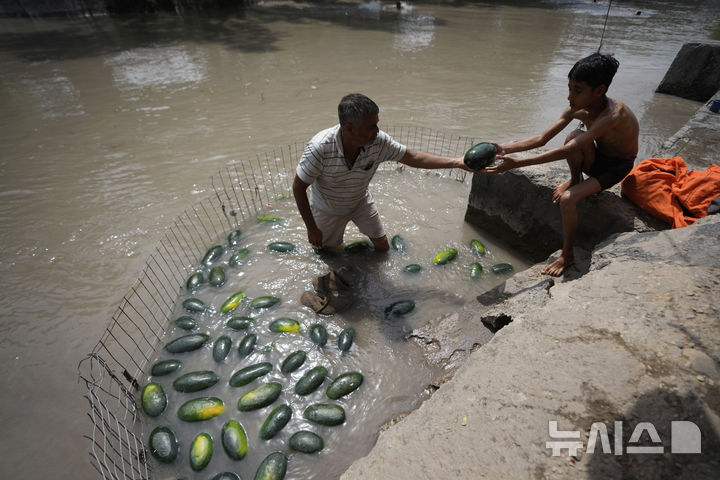 [인도=AP/뉴시스] 11일(현지 시간) 인도 잠무에서 한 남성이 수박을 판매하고 있다. 2025.06.12.