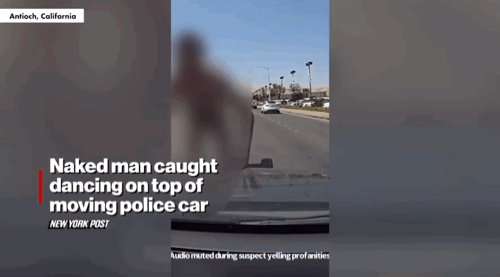 [뉴시스]캘리포니아의 한 남성이 경찰차 지붕에서 알몸으로 춤을 추다가 체포됐다. (사진=뉴욕포스트) *재판매 및 DB 금지 *재판매 및 DB 금지