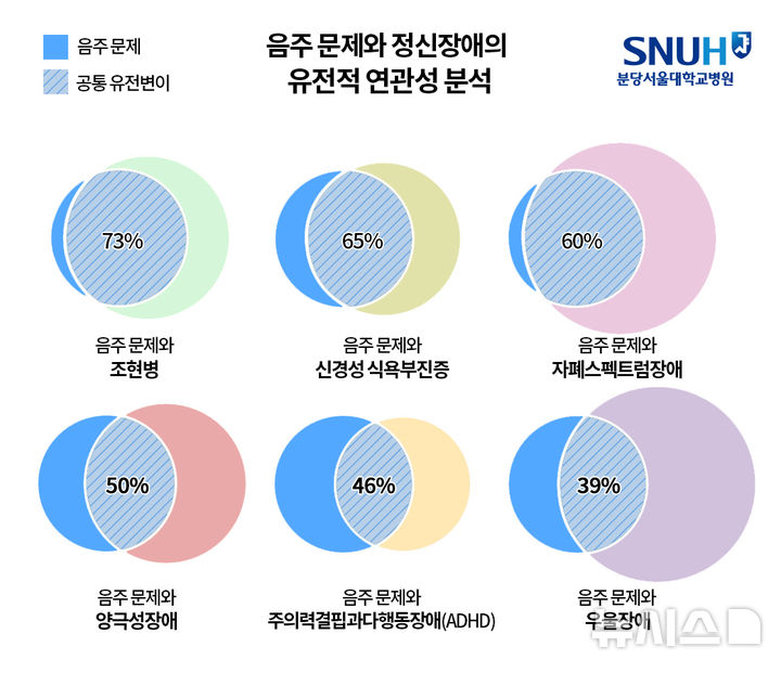 [서울=뉴시스]음주 문제와 정신장애 간 공유하고 있는 유전변이 비율. (인포그래픽= 분당서울대병원 제공) 2025.06.11. photo@newsis.com. 