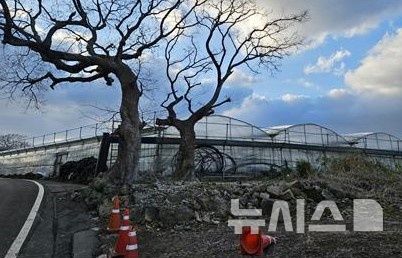 [제주=뉴시스] 제주시 애월읍 수산봉에 '서목당'이 있던 자리. 서목당은 흔적이 없어진 상태다. (사진=제주자연문화유산연구회 제공)