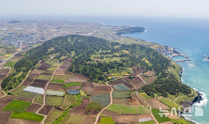 [제주=뉴시스] 제주시 한경면 고산리 당산봉 전경. (사진=제주자연문화유산연구회 제공)