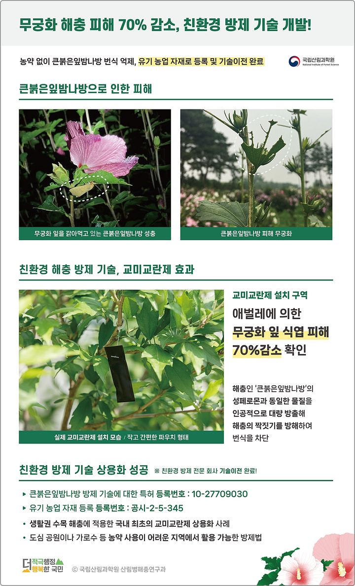 [대전=뉴시스] 무궁화 잎을 갉아먹는 해충인 큰붉은잎밤나방을 농악없이 친환경적으로 방제할 수 있는 교미교란제개발됐다. (사진=국립산림과학원 제공) 2025.06.11. photo@newsis.com *재판매 및 DB 금지