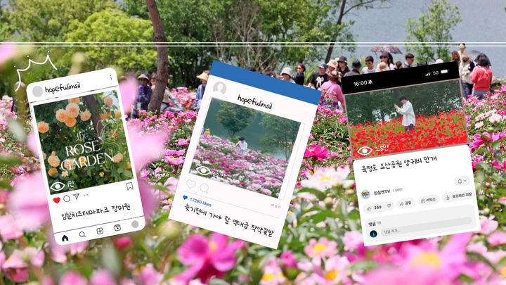 [임실=뉴시스] 각종 SNS에 업로드된 임실군의 '봄꽃' 콘텐츠 *재판매 및 DB 금지
