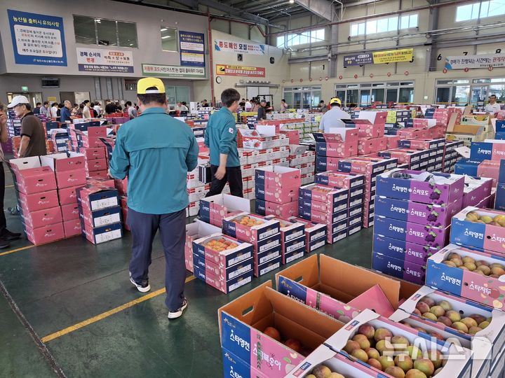 영천시 농산물도매시장