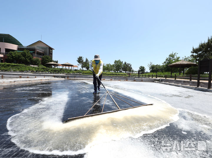 "가격엔 장사 없네"…기피했던 중정제소금 수입 매년 '쑥'