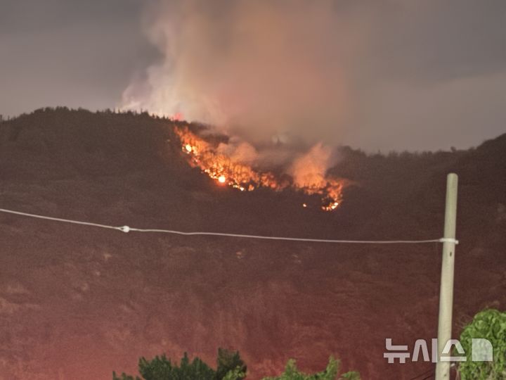 [포항=뉴시스] 안병철 기자 = 11일 오후 9시23분께 경북 포항시 북구 흥해읍 칠포리 곤륜산 정상에서 화재가 발생했다. 2025.06.12. abc1571@newsis.com