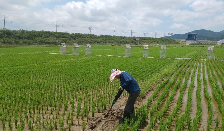  *재판매 및 DB 금지