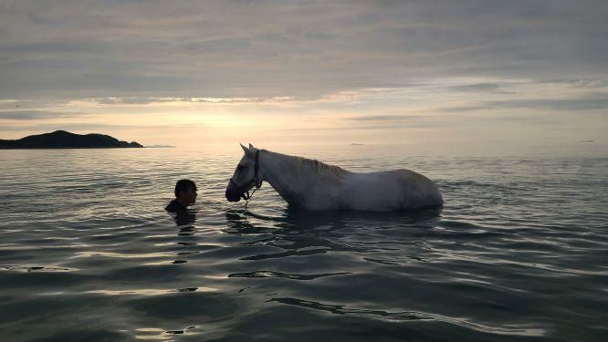 제17회 동물사랑 사진 공모전에서 농림축산식품부 장관상을 수상한 작품. (사진 = 농식품부 제공) 2025.06.12. *재판매 및 DB 금지