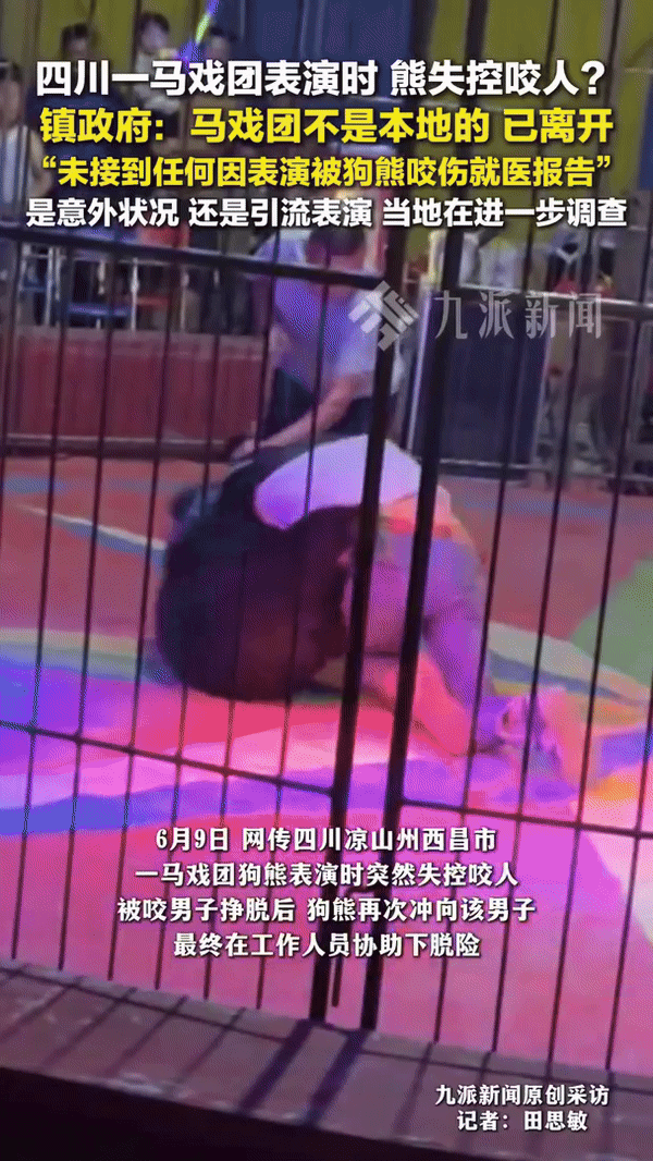 갑자기 돌변…서커스 공연 도중 사람 공격한 곰(영상)