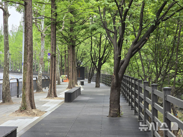 [성남=뉴시스] 경기 성남시 야탑천 오야소리길. (사진=성남시 제공) 2025.06.12. photo@newsis.com